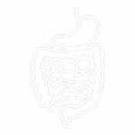 Laproscopic and Gastrointestinal Surgery