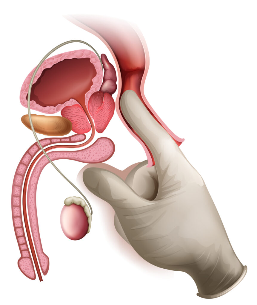 Anus